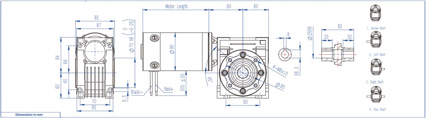 90 ZYT Brushed DC Motor with NMRV50 Worm Gearbox 90 ZYT Brushed DC Motor with NMRV50 Worm Gearbox