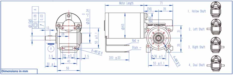 63 ZYT Brushed DC Motor with Worm Gearbox 63 ZYT Brushed DC Motor with Worm Gearbox