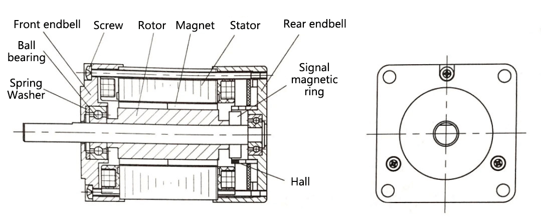 Structure of BLDC motor