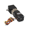 geared bldc motor manufacturer​
