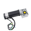 brushless dc servo motor