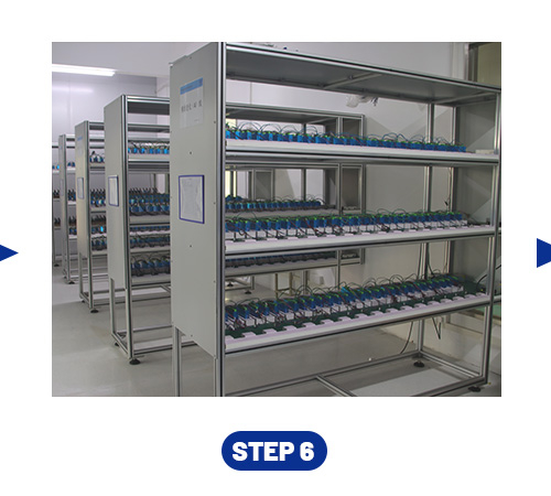 Pilot Order & Mass Production Preparation