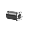brushless dc electric motor