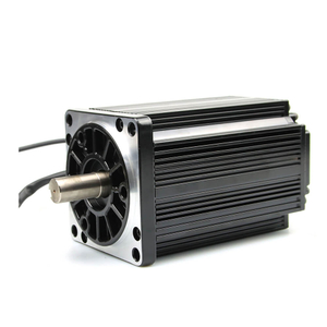 Motor DC sem escova 310V