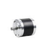 brushless dc gear motor​