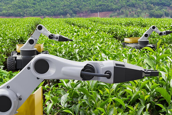 Integrated Servo Motors for Field Robotics Systems