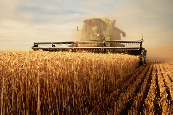 24V 200W Integrated BLDC Servo Motors for Agricultural Industry