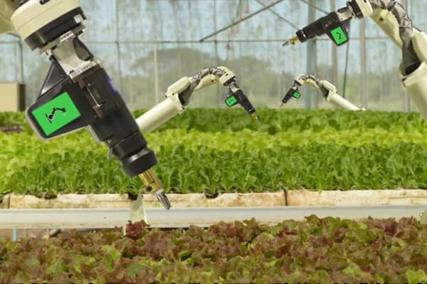 Automatic Sampling System