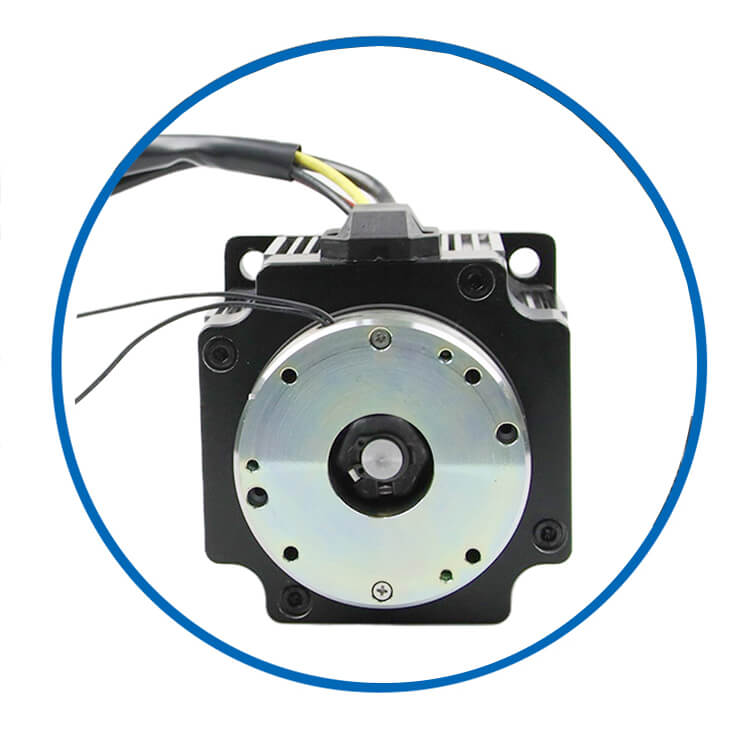 brushless dc motor with brake