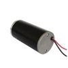 brushed dc electric motor
