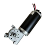 brushed motor with worm gearbox