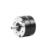 Silnik 36 V BLDC