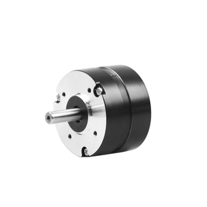 Motor BLDC de 36V