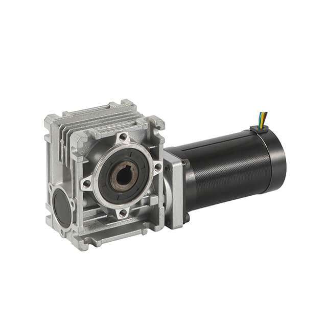 worm geared bldc motor (1)