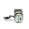 stepper motor with brakes