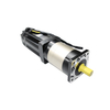 brushless dc motor 1000w