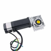 DC Motor 36V