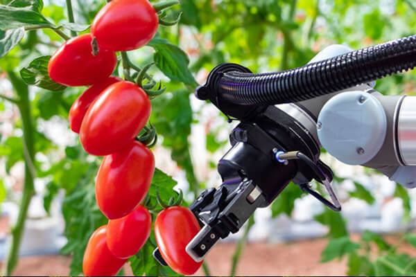 Servo Motors integrados para os braços robóticos para escolher agrícolas