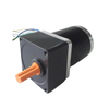 brushless dc gear motor​