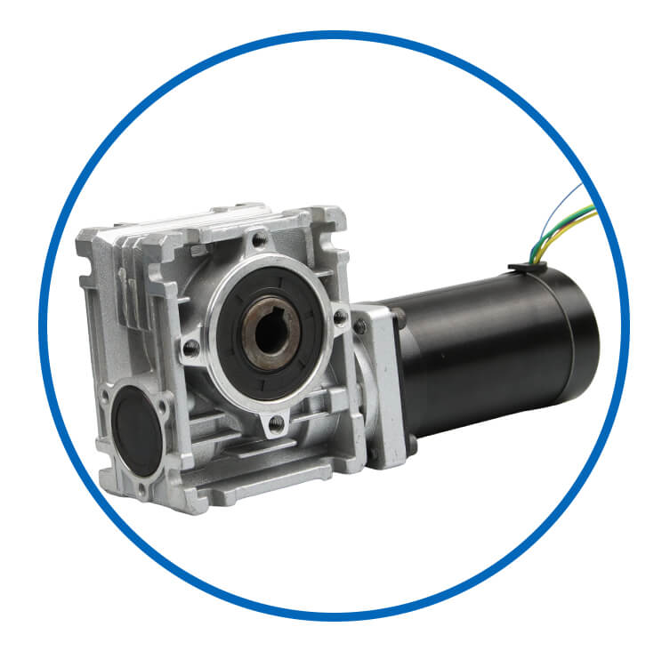 Worm geared bldcc motor supplier