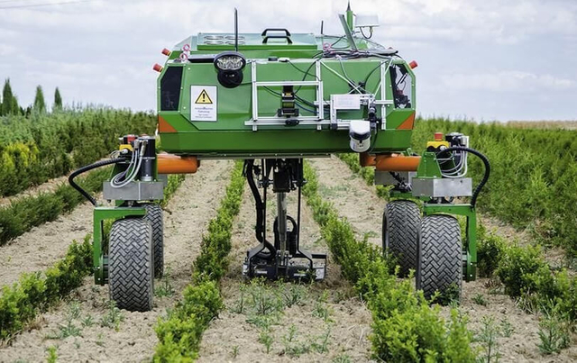 Autonomous Weeding Robots