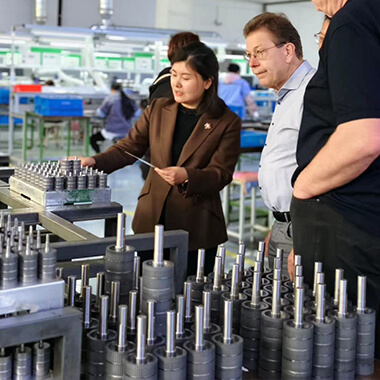 oem stepper motor supplier