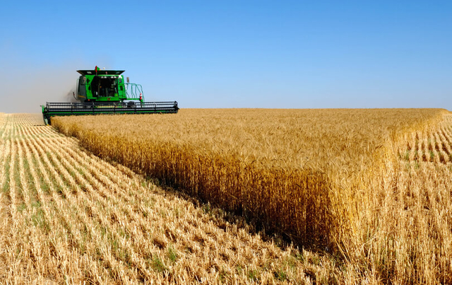 Agricultural Combine Harvesters